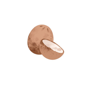 Coconuts Icon