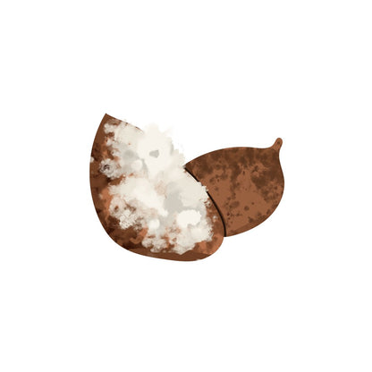 Shea Butter Icon